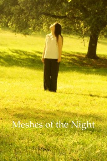 Meshes Of The Night (2024) poster