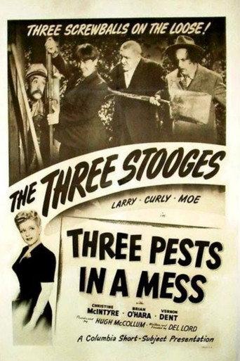 Three Pests in a Mess (1945) poster