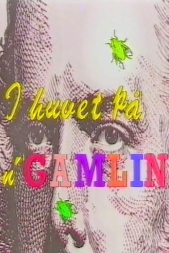 I huvet på n' Gamlin (1990) poster
