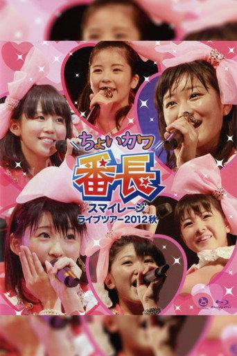 S/mileage 2012 Autumn ~Choi Kawa Banchou~ (2012) poster