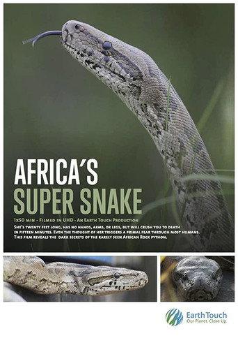 Africa's Super Snake (2017) poster