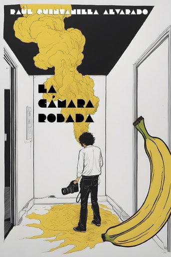 La cámara robada (2005) poster