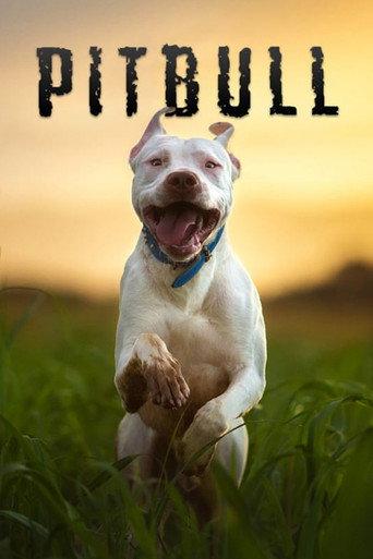 Pitbull (2018) poster