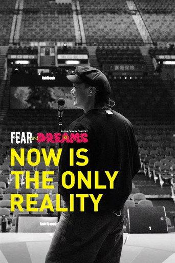 FEAR and DREAMS: NOW is the only reality (2025) poster