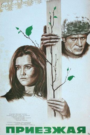 Newcomer (1977) poster