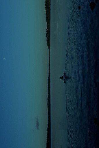 THE WATERS (2024) poster