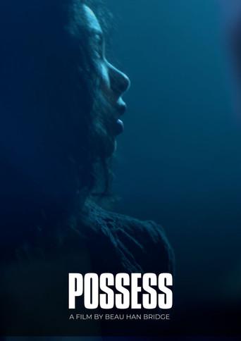 Possess () poster