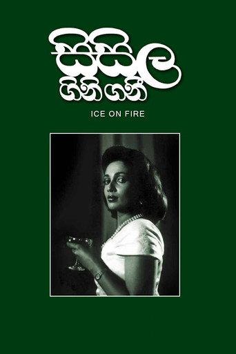 Fire on Ice (1991) poster