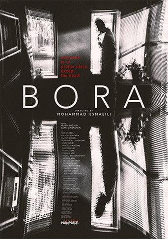 The Bora (2024) poster