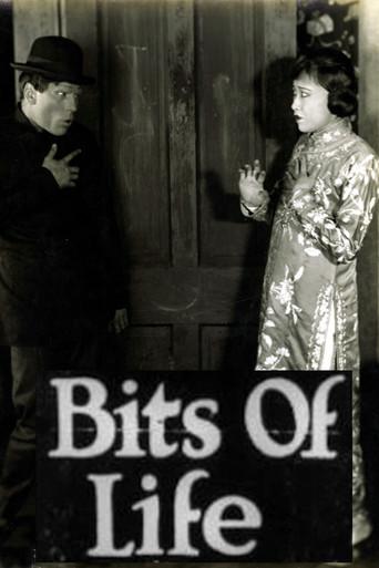 Bits of Life (1921) poster