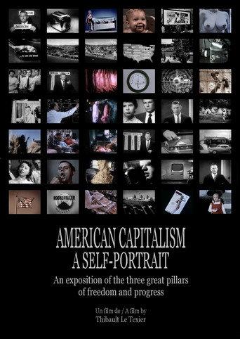 American Capitalism, A Self-Portrait (2013) poster