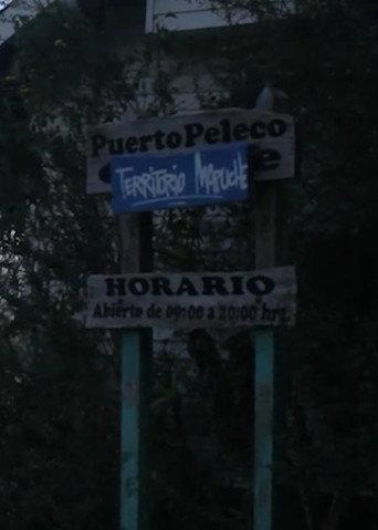 Peleco Port (2023) poster