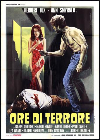Hours of Terror (1971) poster