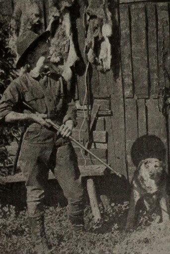 Outwitting the Timber Wolf (1921) poster