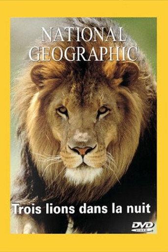 National Geographic : Trois lions dans la nuit (2002) poster