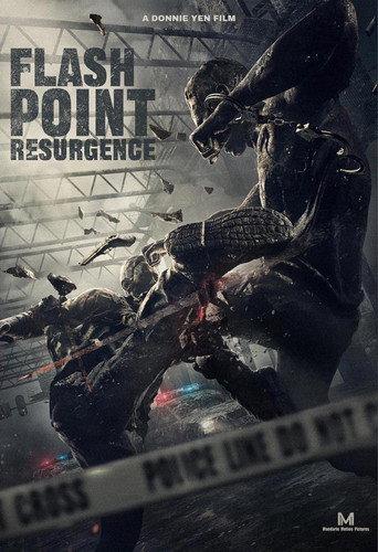 Flash Point: Resurgence () poster