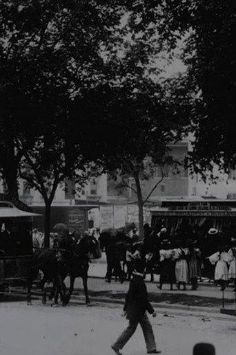 View on Boulevard, New York City (1896) poster