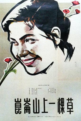 A Blade of Grass on the Kunlun Mountains (1962) poster