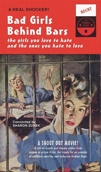Bad Girls Behind Bars (2005) poster