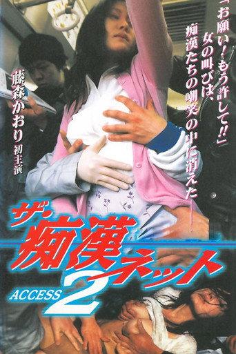The Molester Net ACCESS 2 (1999) poster