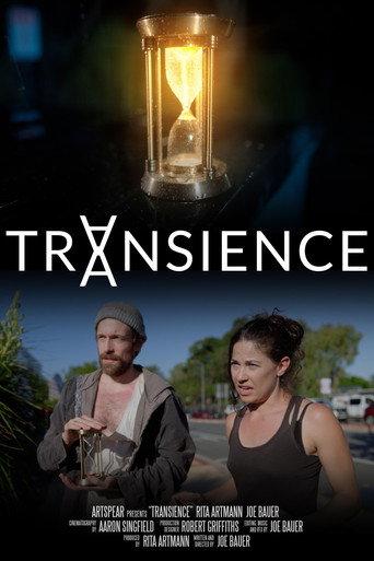 Transience (2026) poster