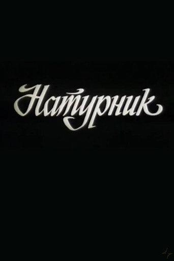 Model (1992) poster