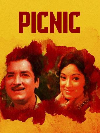 Picnic (1975) poster