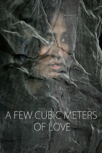 A Few Cubic Meters of Love (2014) poster