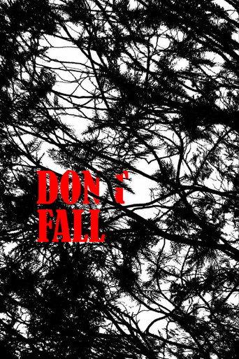 Don`t Fall (2024) poster