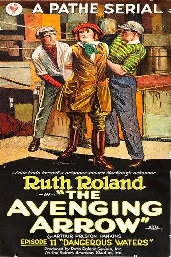 The Avenging Arrow (1921) poster