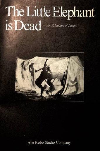 The Little Elephant is Dead / An Elephant Calf Is Dead (1980) poster