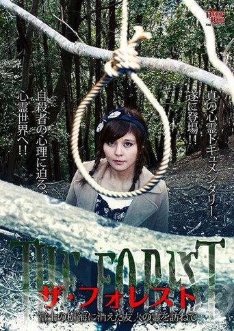 The Forest: Visiting the Spirit of a Friend Who Disappeared in the Aokigahara Forest (2016) poster