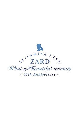 What a beautiful memory ~30th anniversary (2021) poster