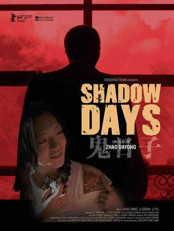Shadow Days (2014) poster