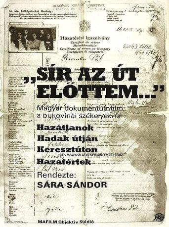 The Road Is Crying in Front of Me (1987) poster