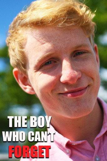 The Boy Who Can't Forget (2012) poster