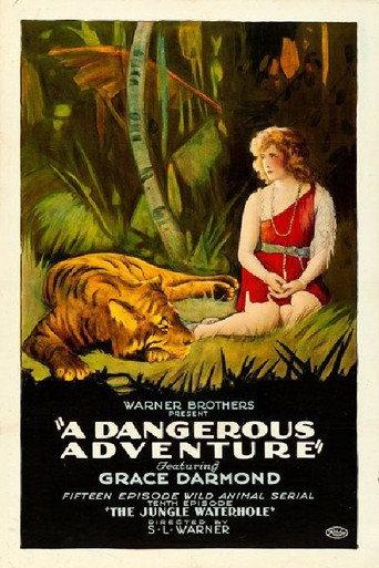 A Dangerous Adventure (1922) poster
