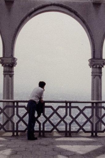 During the Many Years (1992) poster