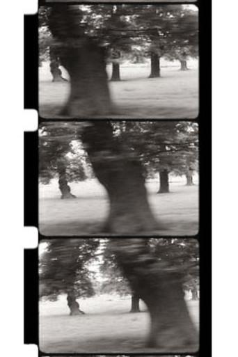 Motion Parallax (1968) poster