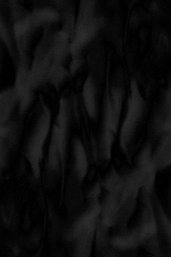 Phosphenes (2024) poster