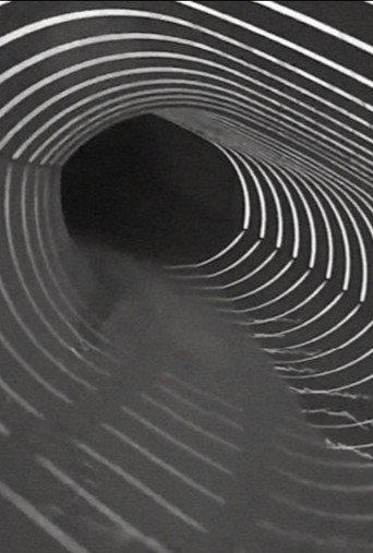 Limbo (2021) poster