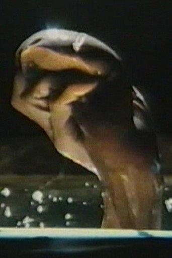 Morphology (1983) poster