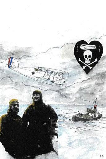 L'Énigme de l'oiseau-blanc (1999) poster