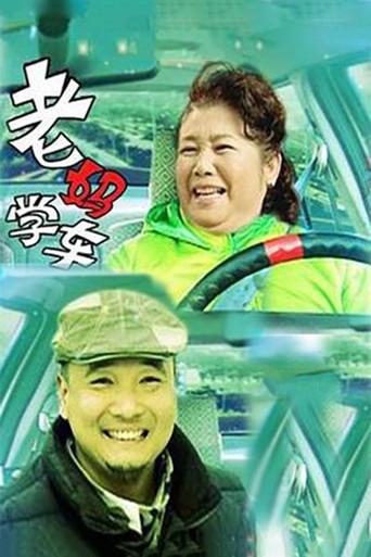 老妈学车 (2005) poster