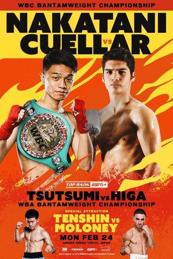 PRIME VIDEO BOXING 11 (2025) poster