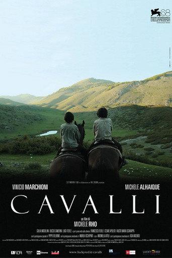 Cavalli (2011) poster
