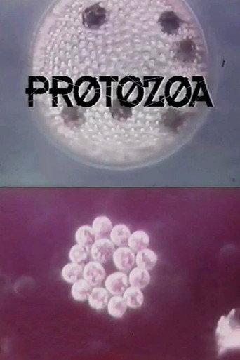 Protozoa (1993) poster
