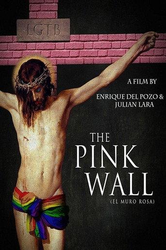 The Pink Wall (2011) poster
