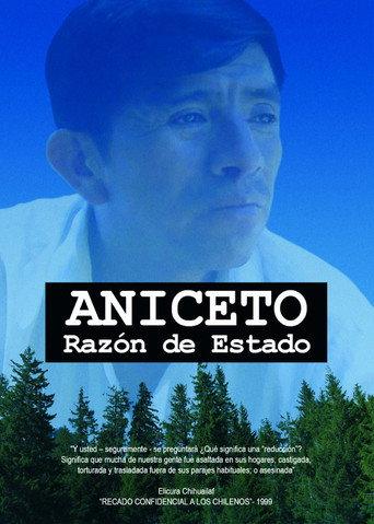 Aniceto, razón de Estado (2009) poster