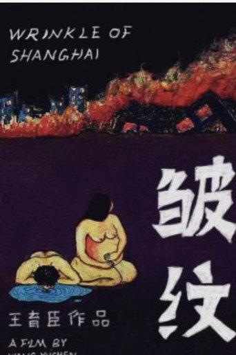 Wrinkle of Shanghai (2013) poster